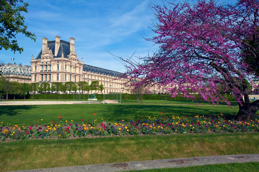 Vizitează Muzeul Louvre din Paris, Franța