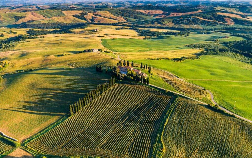 Învață să faci trufe la un atelier din Toscana, Italia.